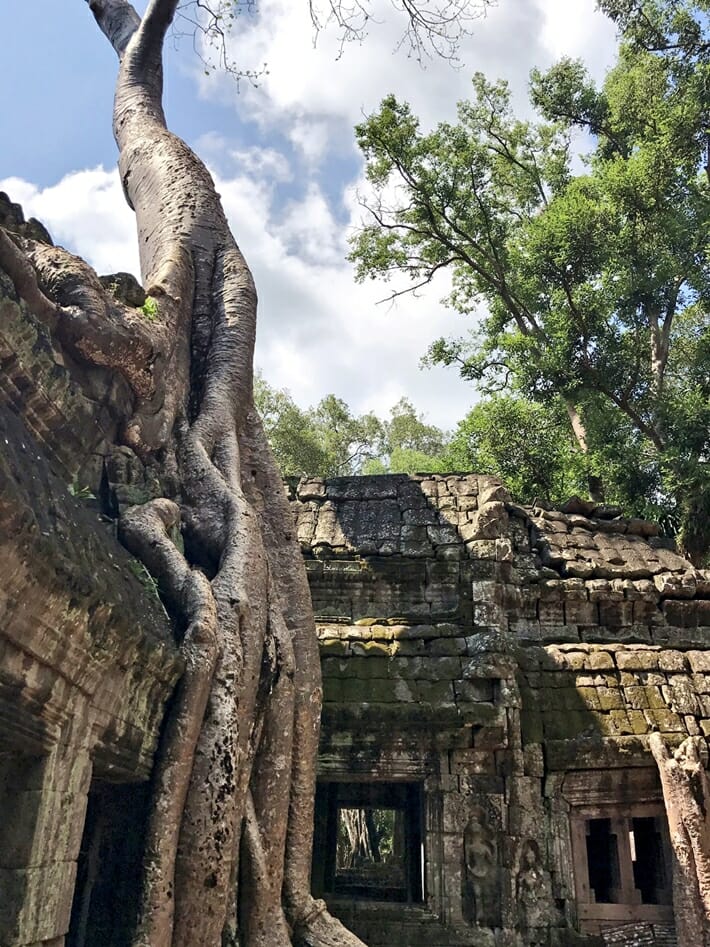 Ta Prohm Siem Reap 2 Ta Prohm Siem Reap 2