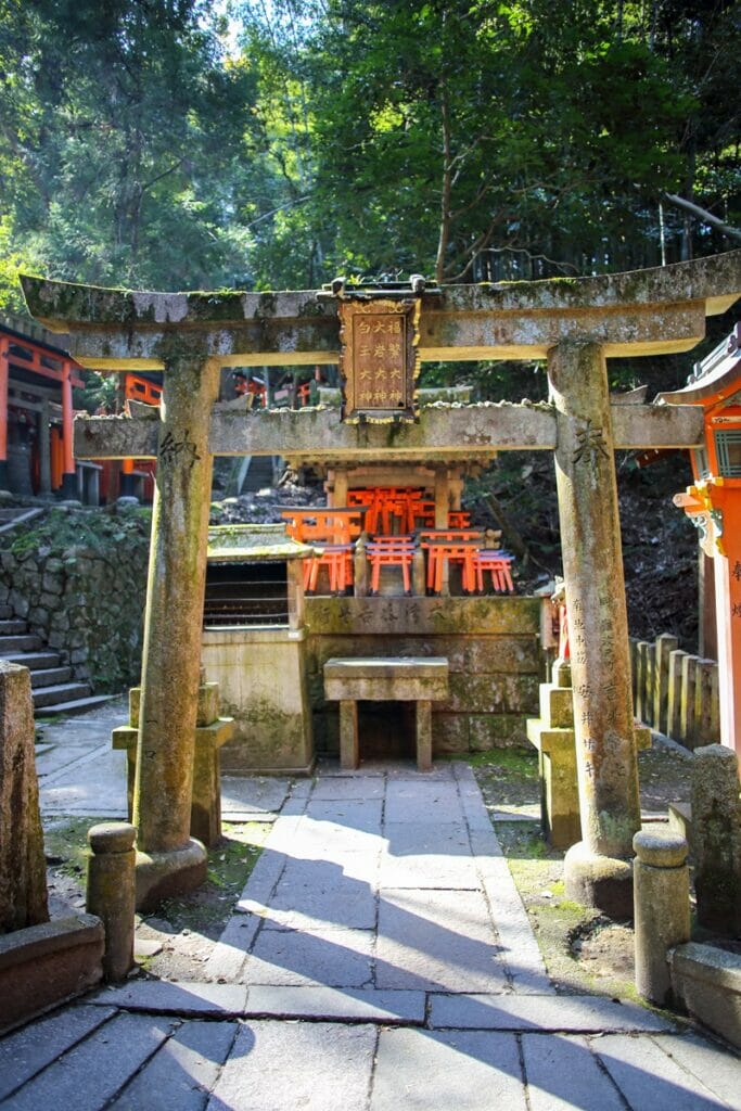 Mossy tori gates in Kyoto Japan