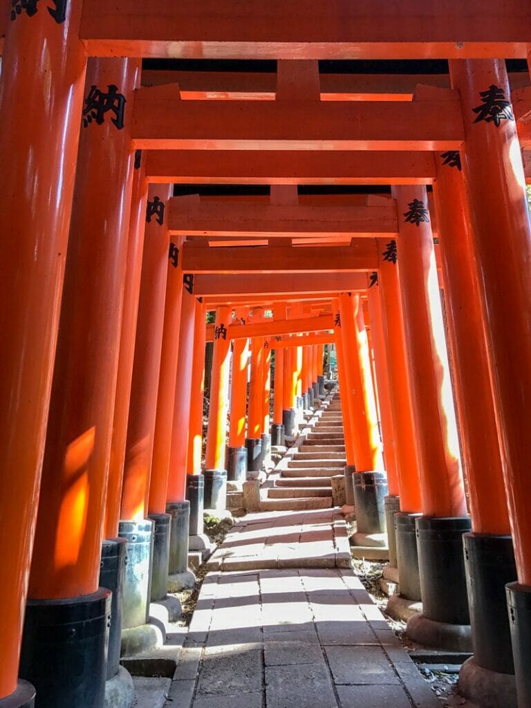 Orange Tori Gates at Fushimi Inari Taishi in Kyoto Japan