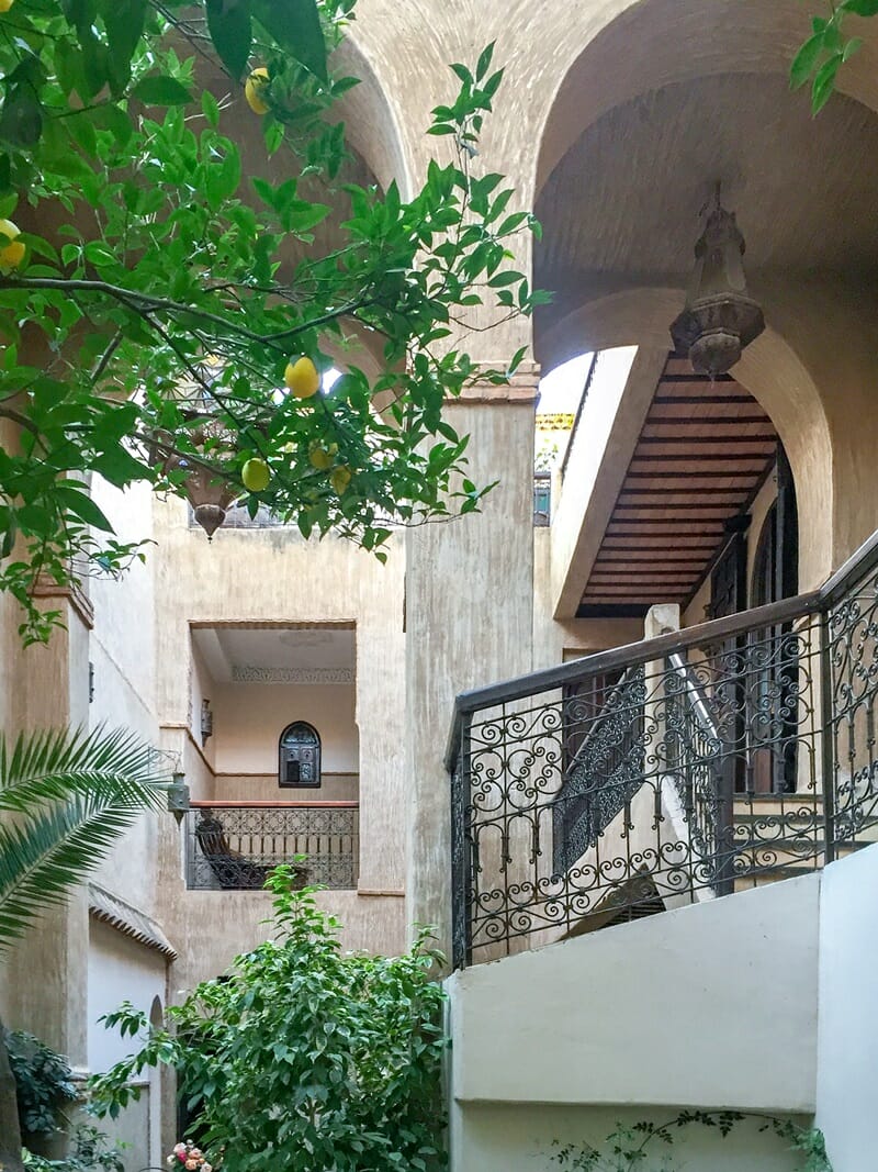 Lemon trees at Riad Palmier in Marrakech in Morocco
