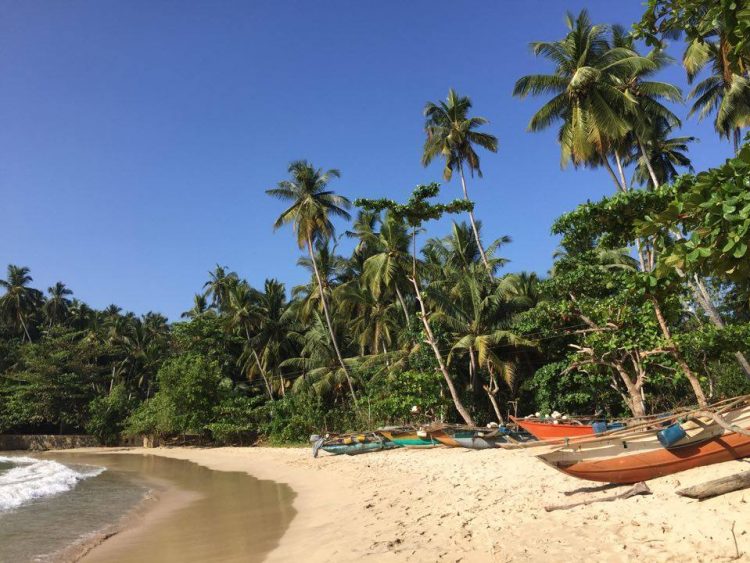 Beaches on the south coast in Sri Lanka
