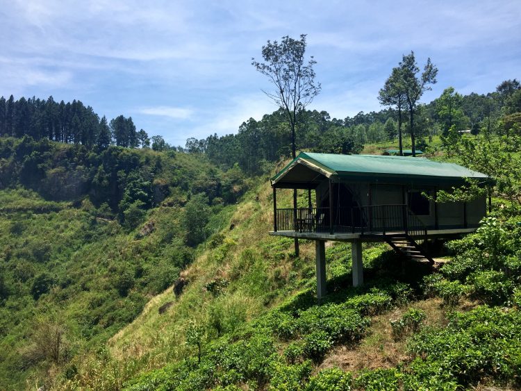 Madulkelle Tea & Eco Lodge in Sri Lanka