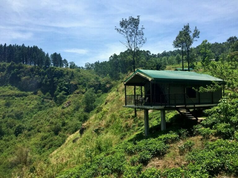 Madulkelle Tea and Eco Lodge in Kandy: Glamping in Sri Lanka’s Tea Country