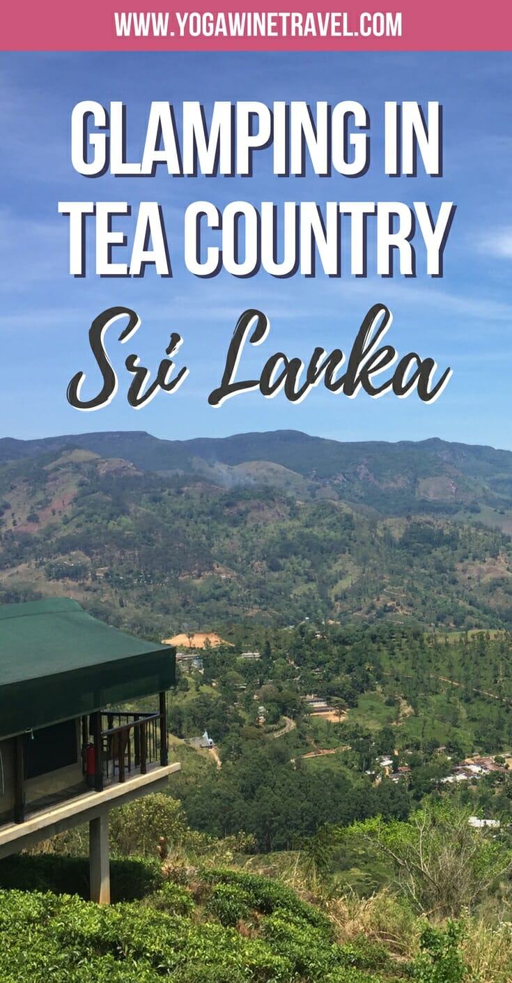 Yogawinetravel.com: Madulkelle Tea and Eco Lodge in Kandy - Recharge in Sri Lanka's Tea Country. Paradise high up in the mountains of Kandy, Sri Lanka. Read on for more about staying in the heart of tea country at Madulkelle Tea & Eco Lodge, one of the country's most unique and best boutique hotels.