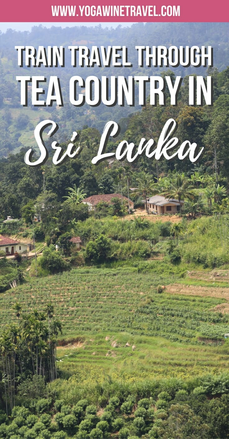 Tea plantations in Sri Lanka with text overlay
