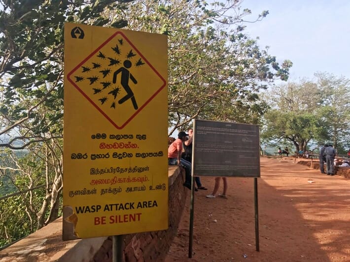 Wasps warning sign at Sigiriya in Sri Lanka