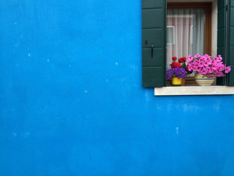 Blue wall and flowers in the window in Burano Italy