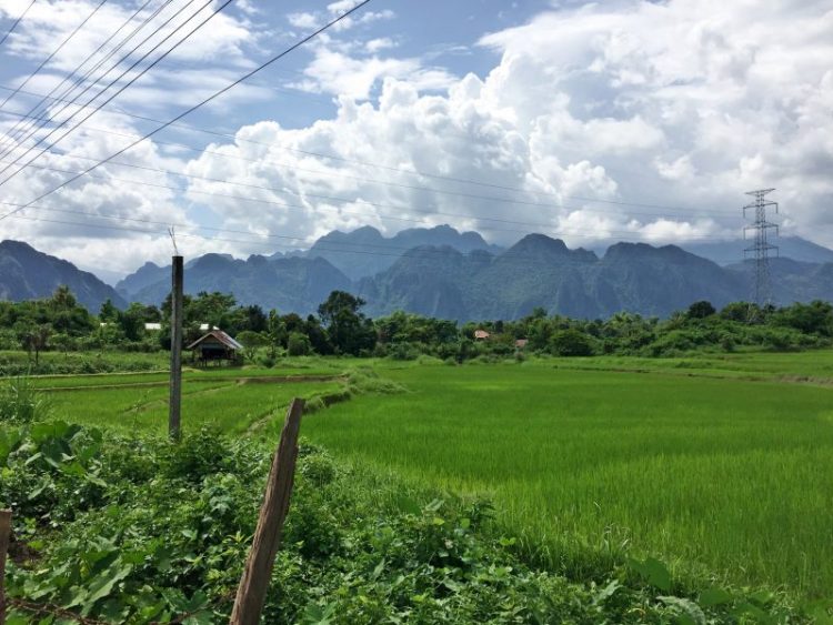 Vang Vieng rice paddies on the way to Kaeng Nyui Waterfall 