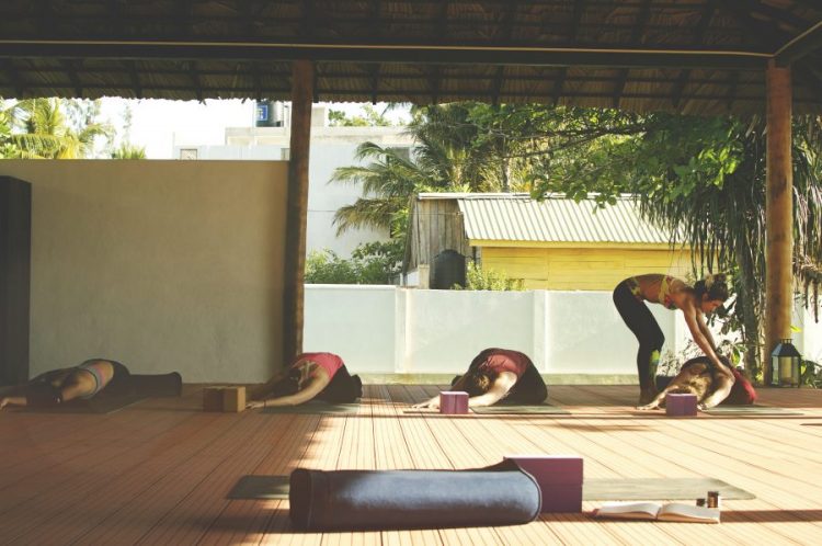 DSC_0639PO Yogawinetravel Strength & Serenity Yoga Retreat in Sri Lanka