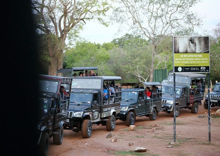 Yala National Park queue of jeeps