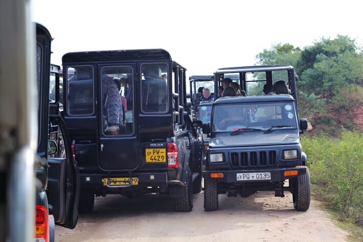 Safari jeeps in Yala National Park, Sri Lanka