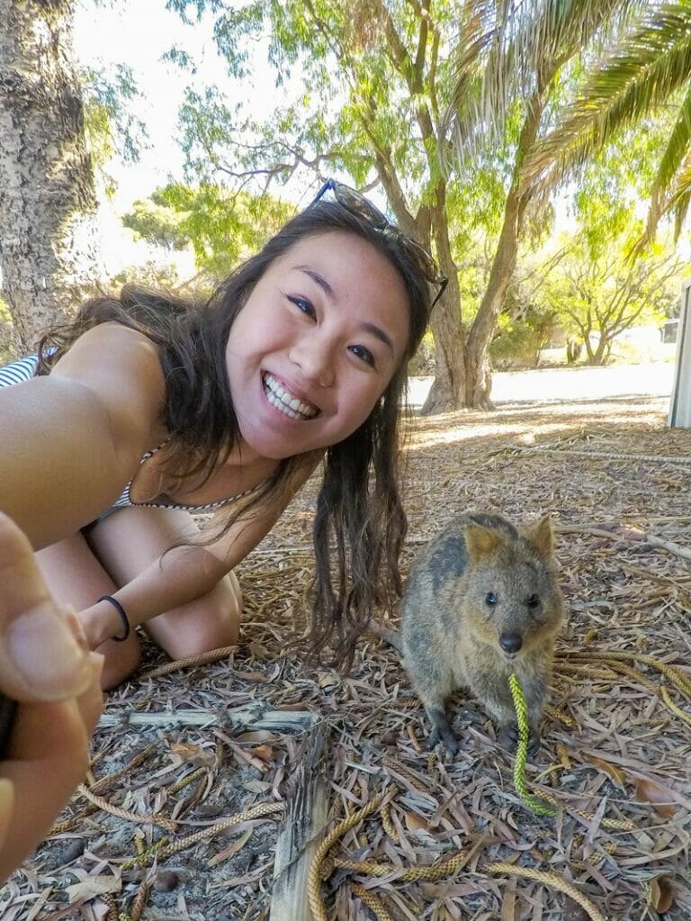 Quokka selfie on Rottnest Island in Western Australia