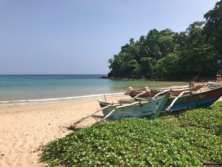 strength-serenity-yoga-retreat-sri-lanka-march-2017_5_small strength-serenity-yoga-retreat-sri-lanka-march-2017_5_small