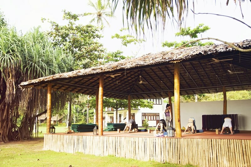 Yoga retreat in Sri Lanka