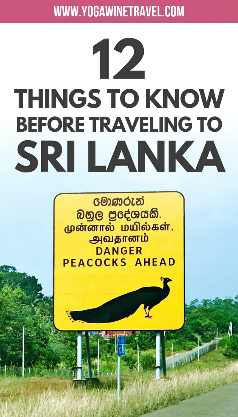 12 Things You Should Know Before Going To Sri Lanka Yoga Wine