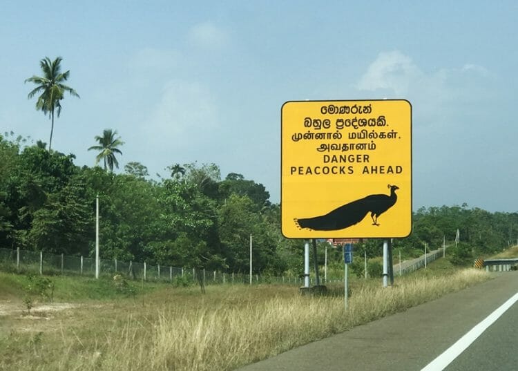 Peacock road sign in Sri Lanka