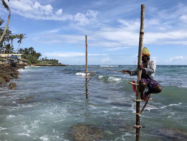 Stilt fishermen in Sri Lanka