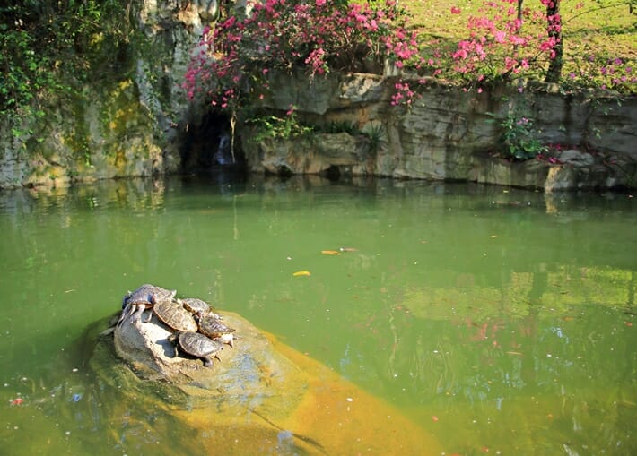 Hong Kong Park 1 Hong Kong Park 1