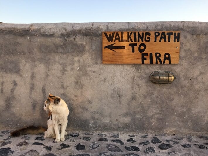Path to Fira in Santorini
