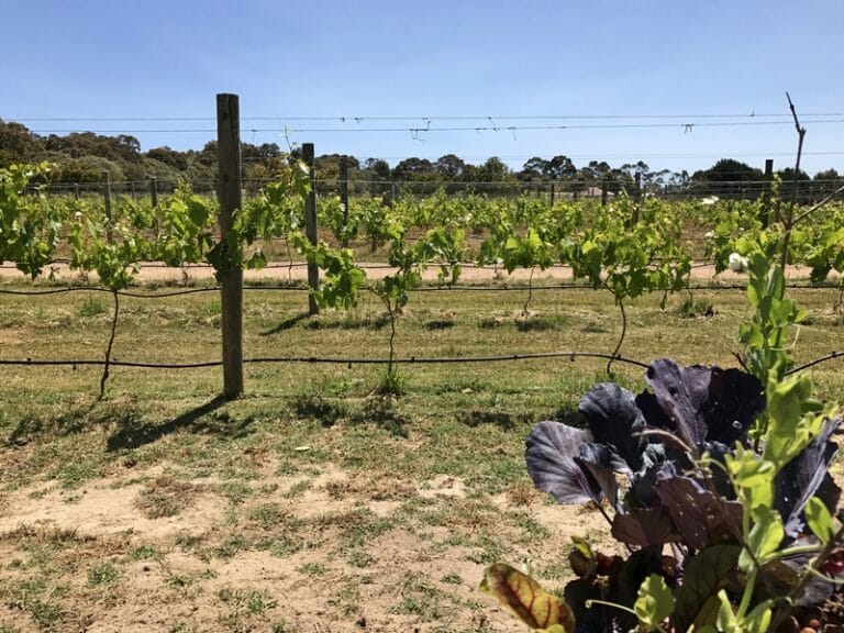 Barnyard Margaret River Barnyard Margaret River