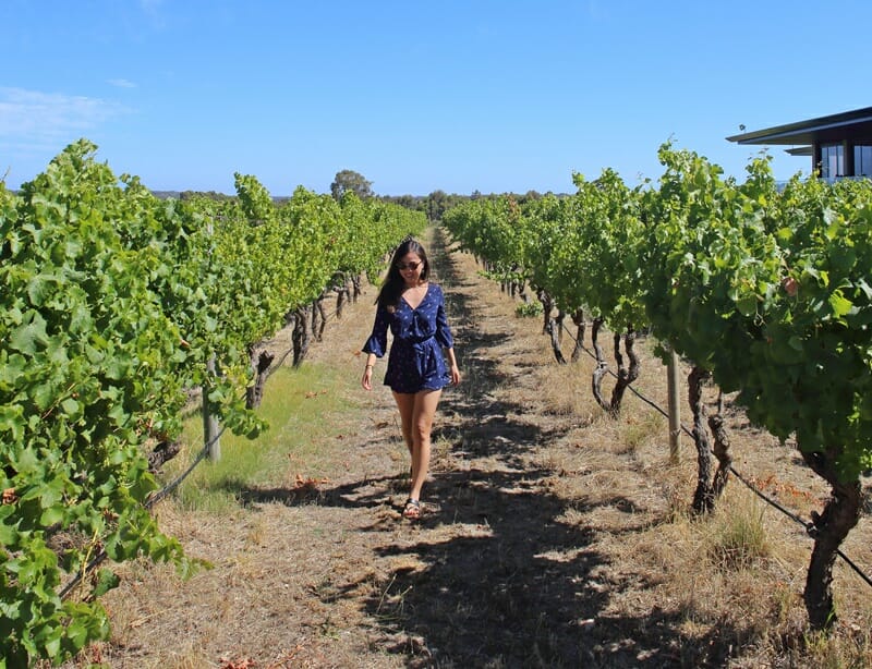 Amelia Park Winery in the Margaret River Region