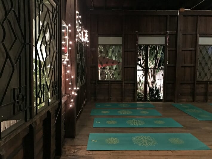 Wild Rose Yoga in Chiang Mai Thailand