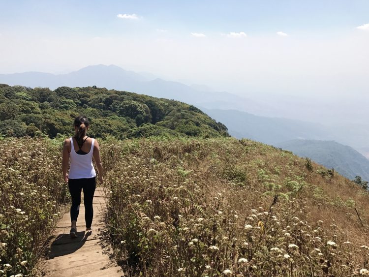 Hiking in Doi Inthanon National Park in Thailand