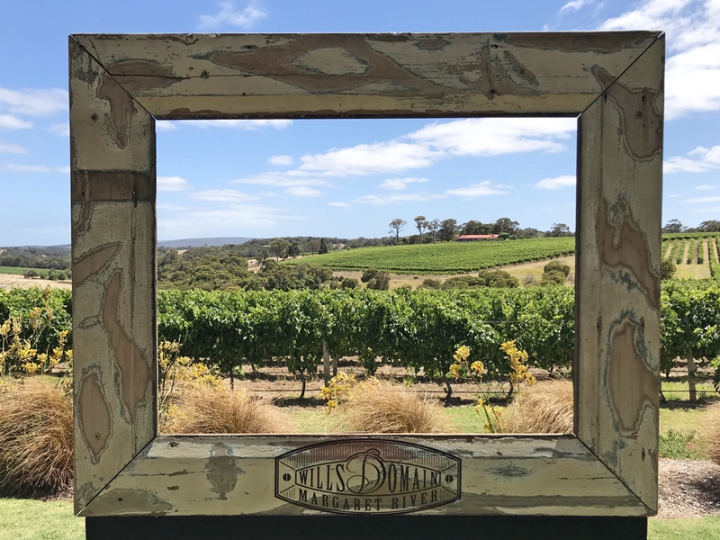 Wills Domain vineyard in the Margaret River region in Australia