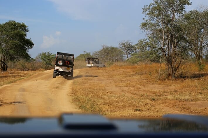Safarai jeeps in a national park during elephant safari in Sri Lanka