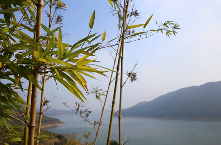 Lake view from Alila Anji in China