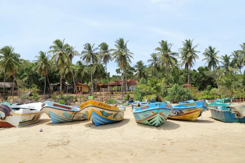 Surfing in Arugam Bay: A Practical Guide to Surf Central in East Sri ...