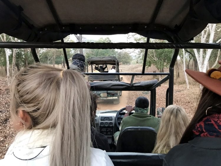 Karnataka India wildlife safari 1 Karnataka India wildlife safari 1
