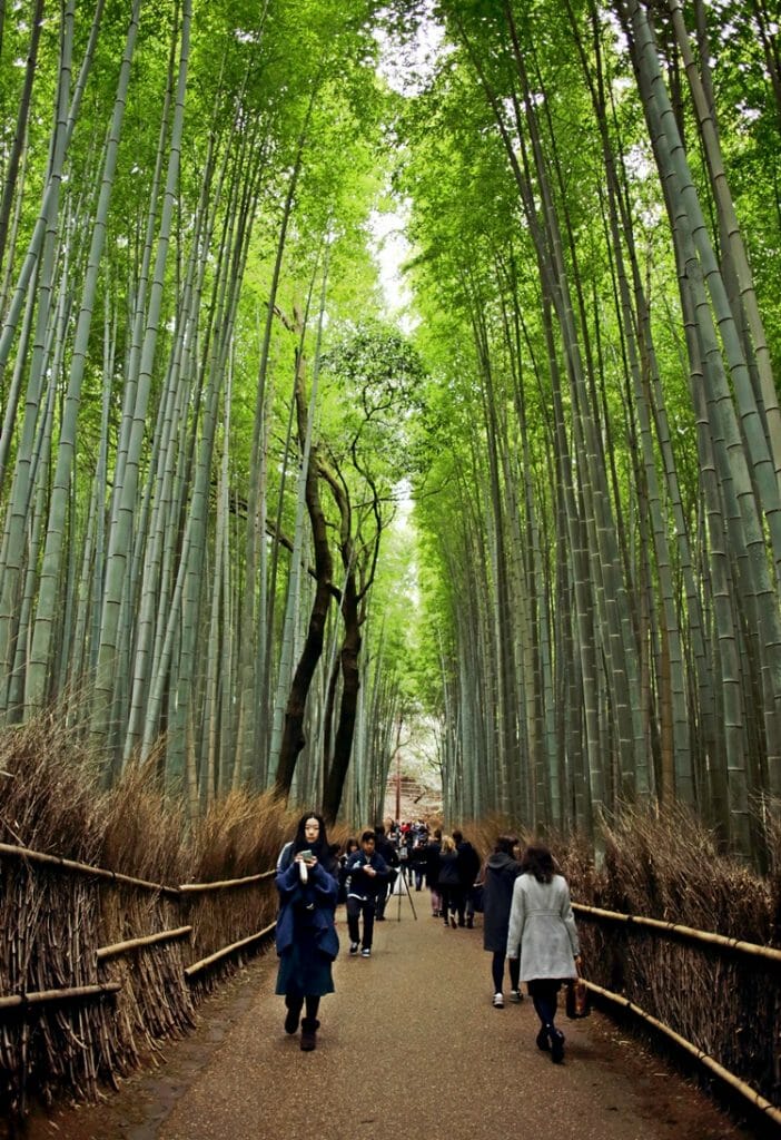 Kyoto Arashiyama Bamboo Grove Kyoto Arashiyama Bamboo Grove