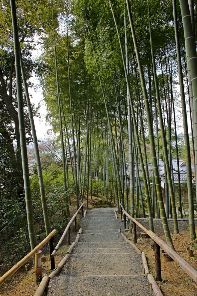 Kyoto Kodai-ji Bamboo Grove Kyoto Kodai-ji Bamboo Grove