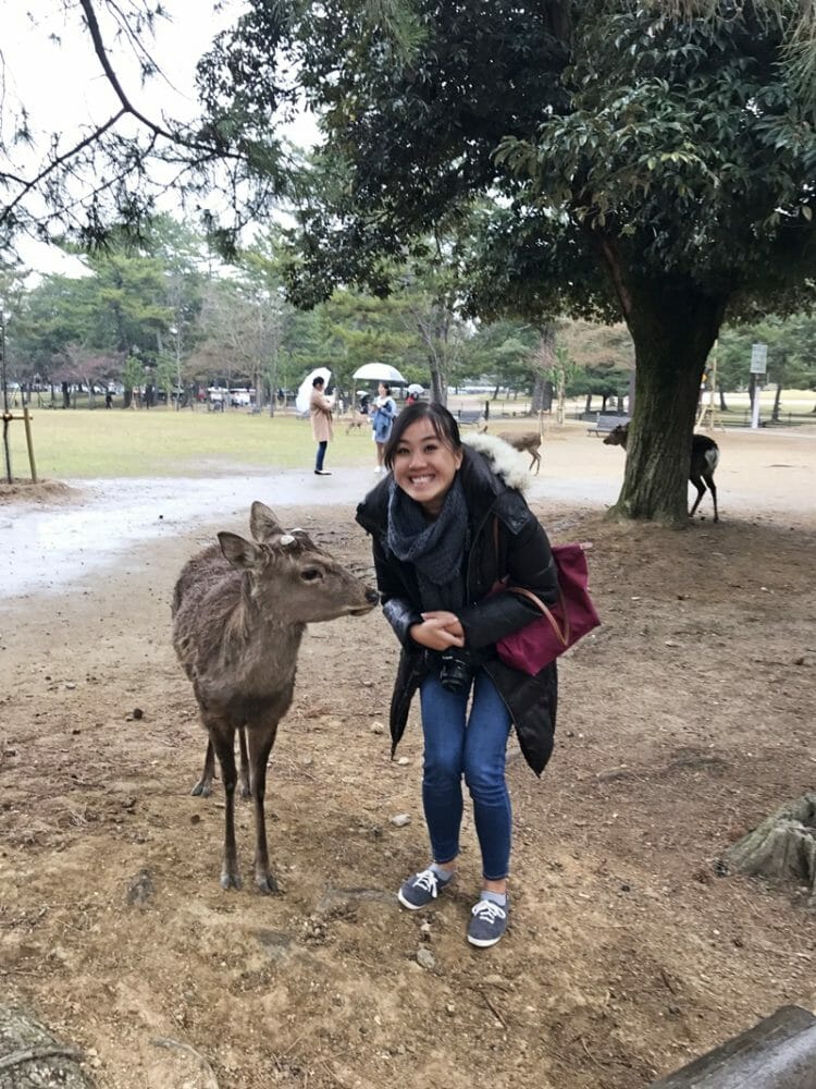 Nara Deer Park in Japan