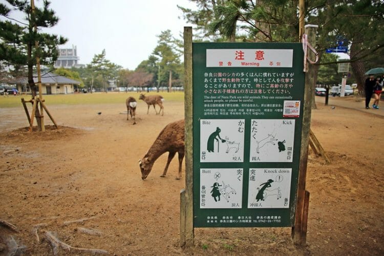Warning signs in Nara Deer Park Japan