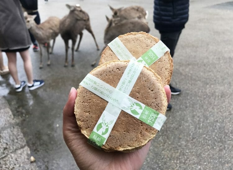 Deer crackers in Nara Park Japan