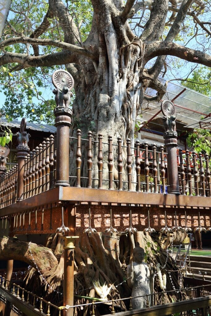24 Hours in Colombo: How to Explore Sri Lanka's Underrated Capital in 1 ...