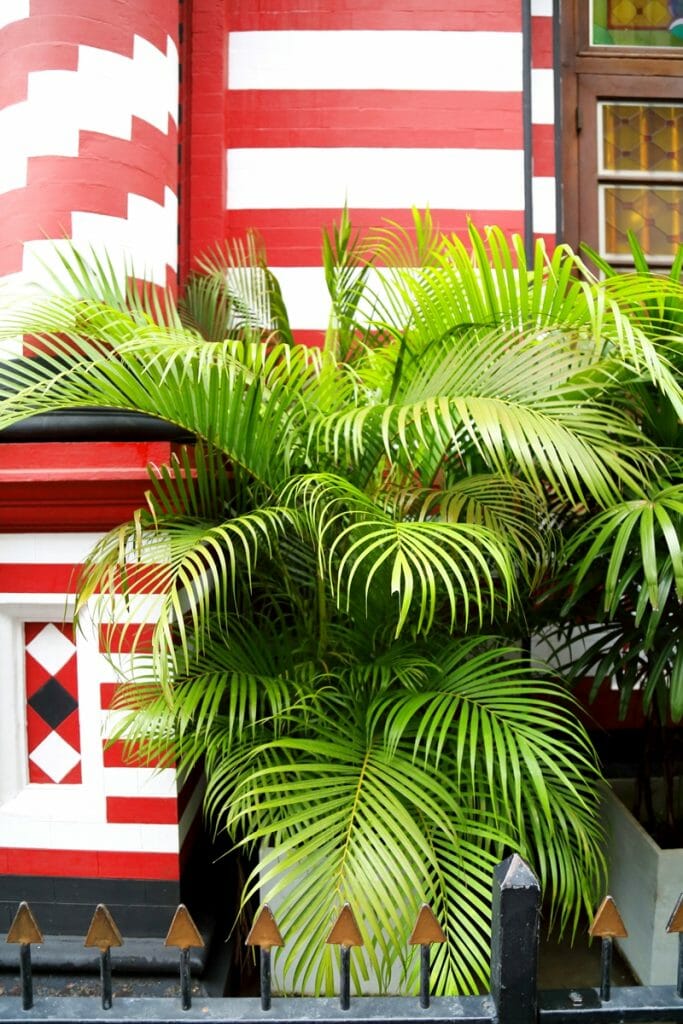 Red Mosque Pettah Colombo 3 Red Mosque Pettah Colombo 3