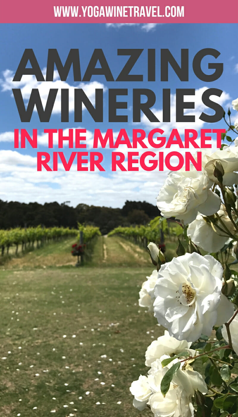 White roses at a vineyard in the Margaret River region with text overlay