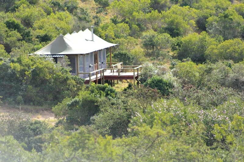 Bukela Game Lodge Luxury Safari