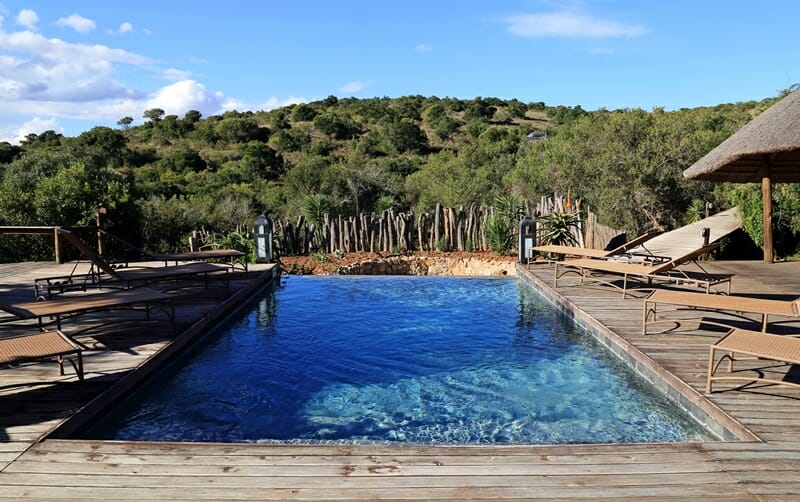 Bukela Game Lodge in Amakhala Game Reserve in South Africa