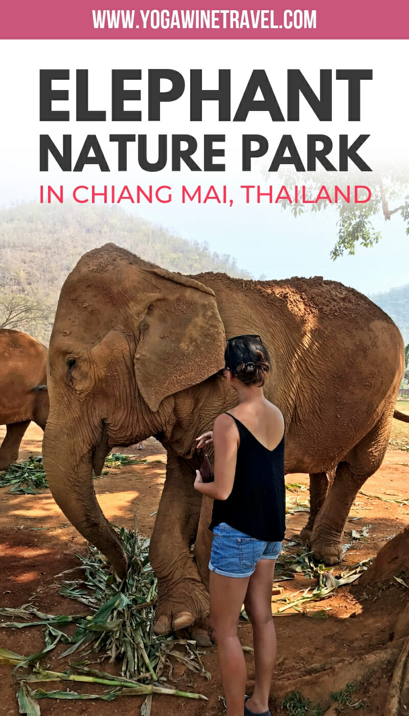Women standing next to elephant at sanctuary in Chiang Mai Thailand with text overlay