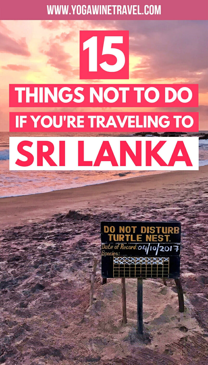 Protected turtle nest on a beach in Sri Lanka with text overlay