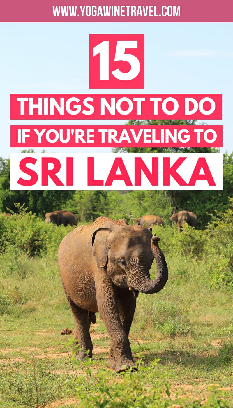 Asian elephant in national park in Sri Lanka with text overlay