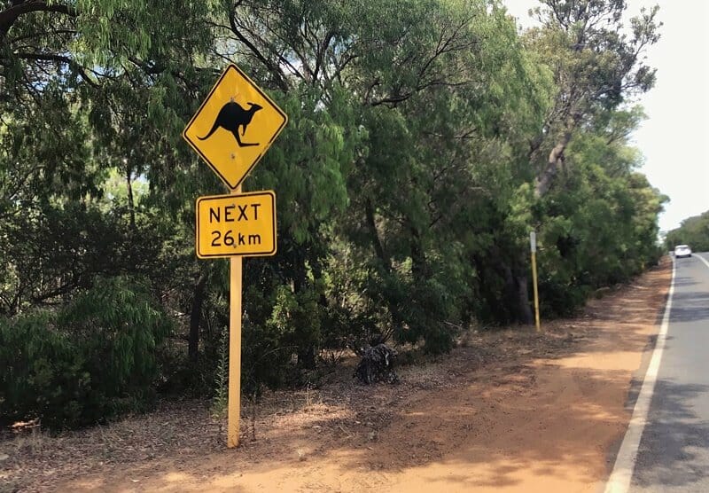 Kangaroo road signs in Margaret River region