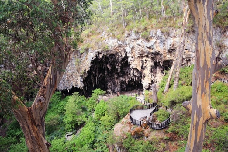 Lake Cave in the Margaret River region