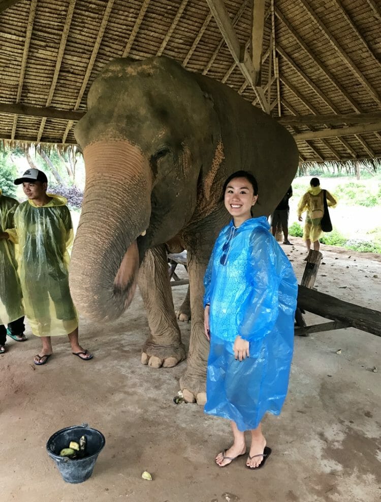 Koh Samui Elephant Sanctuary Rescuing Elephants from Riding Camps and