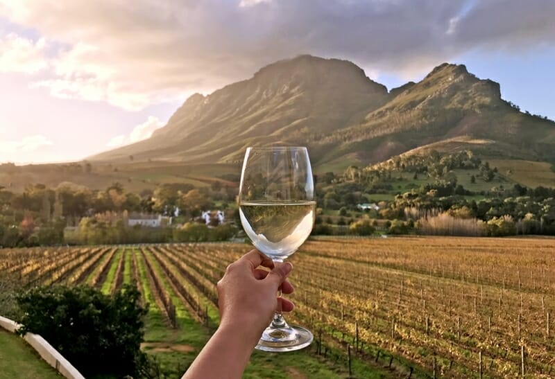 Wine glass in Stellenbosch South Africa
