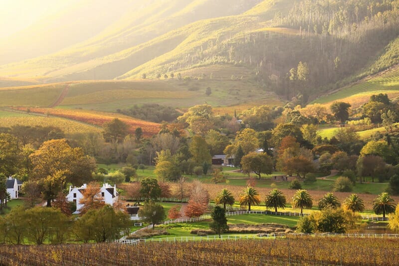 Stellenbosch landscape at sunset on the Garden Route in South Africa 